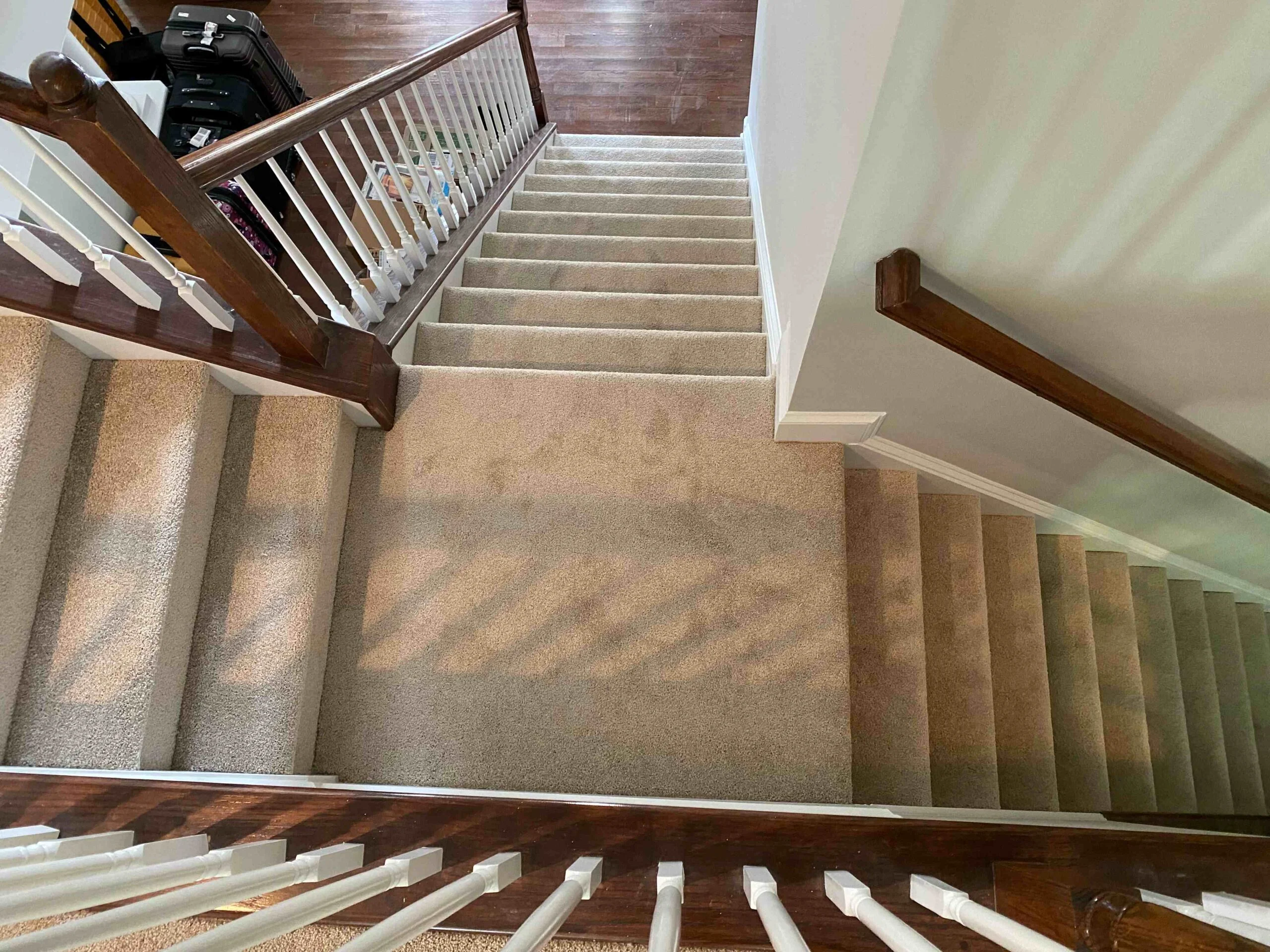 Carpeted staircase